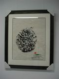 Signature-Elephants Foot Print