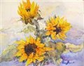 Sunflowers Dreaming