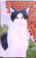 polly