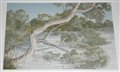 Bush walk, Kalgan River