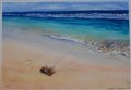 Yanchep Lagoon