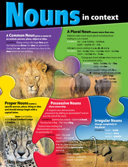 Naming Nouns Educational Chart