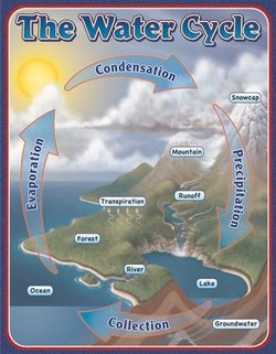 The Water Cycle Educational Chart