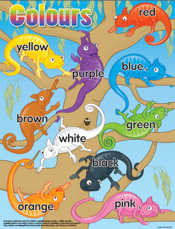 Colour Ozzie Chameleons Educational Chart
