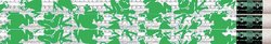 Frog Twinkler (10)