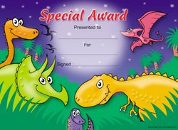 Special Award (35) Certificates