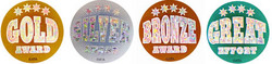 Holographic Medal Stickers (384)