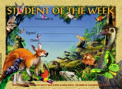 Australian Animals (35) Certificates