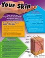Your Skin