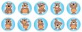 Teddy Dots - Dynamic Dot Kids Stickers