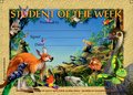 Australian Animals (200) Certificates