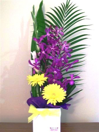 Valentines Flower Delivery on Florist Perth Flowers Perth Flower Delivery Perth Wa Australia