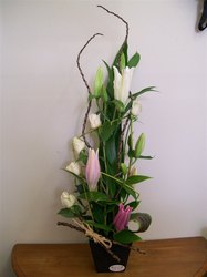 90-120