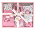 Baby 6 piece Pink Lady bug Clothing Set