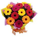 Large Colourful Bouquet of Mixed Gerberas (15) ~ Delivered