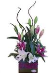 Sara ~ Modern Flower Arrangement ~delivered