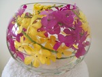 Sofi2 - Orchids in a Fish Bowl