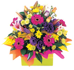 Colourful bright mix of Perth flowers - Rainbow sherbert