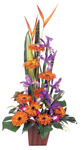 Sunken Treasure - bright orange and purple flowers