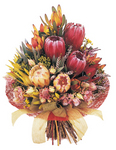 The Outback - local Perth native flowers. delivered