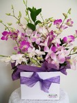 Tropical Paradise - Singapore Orchids