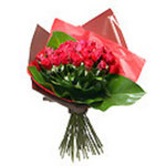One Dozen Premium Red Perth Roses ~ Delivered