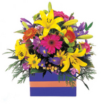 Bright fresh Perth flowers - Lady Love ~delivered