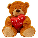 I love you teddy