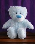 Blue Teddy Bear