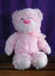 Pink Teddy Bear