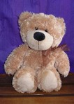 Teddy Bear Brown