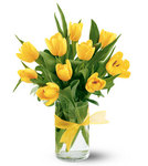 Tulips Perth - quality flowers, delivered