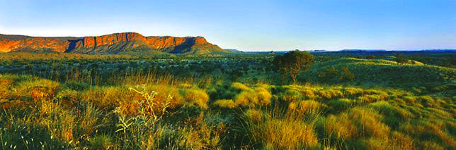 Walanginjdji Lookout