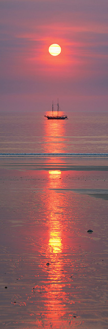 Sunset 'Willie'