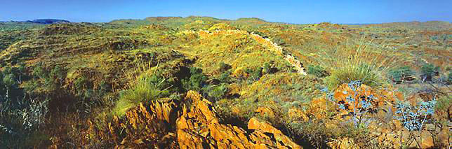 Natural China Wall