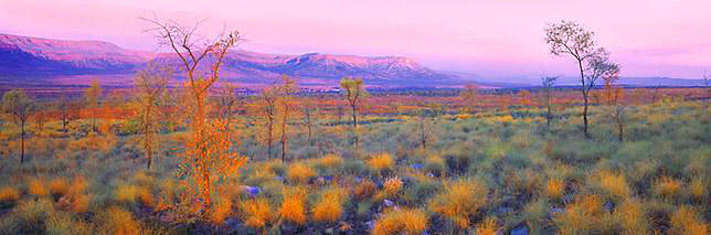 Cockburn Range
