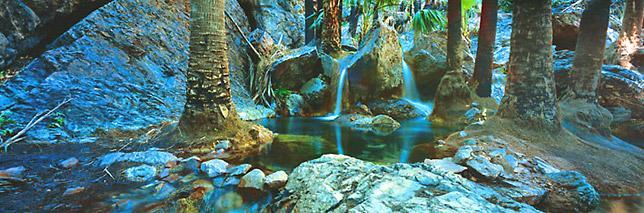 Zebedee Springs