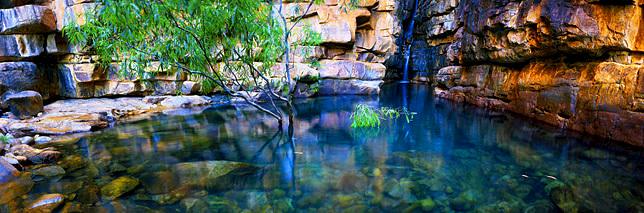 One Tree Creek
