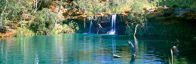 Fern Pool