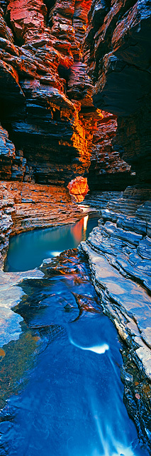 Kermit`s Pool