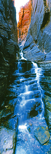 The Chute