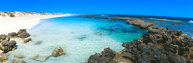 Oyster Bridge - Wilderness Photography - Western Australia - Coral