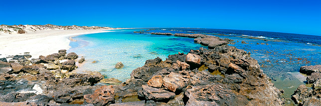 Oyster Bridge II - Wilderness Photography - Western Australia - Coral