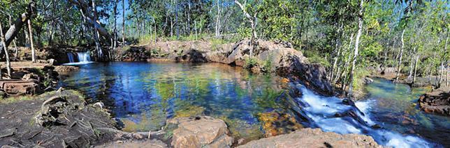 Buley Rockhole Top