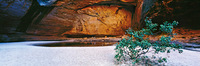 Cathedral Gorge