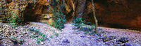 Echidna Chasm