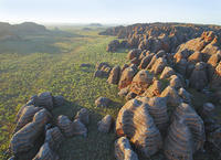 Domes