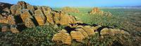 Beehive Domes