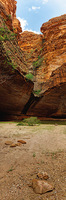 Cathedral Gorge Vertical