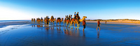 Cable Beach Camels
